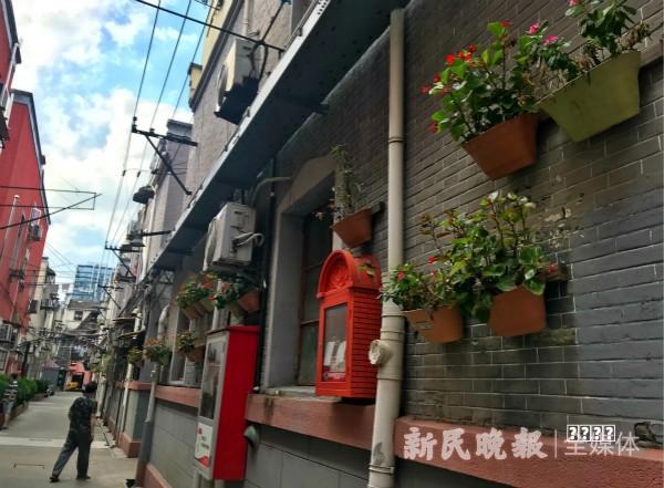 v香奈儿「的五金有」什么特点？